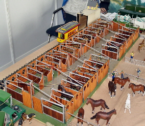 Pferdestall mit 23 Einzelboxen
